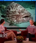 Filename=November_212C_2012_-__The_Ellen_DeGeneres_Show_2872729.jpg
Filesize=98KiB
Dimensions=1280x720
Date added=Apr 03, 2014 November_212C_2012_-__The_Ellen_DeGeneres_Show_2872729.jpg