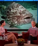 Filename=November_212C_2012_-__The_Ellen_DeGeneres_Show_2872829.jpg
Filesize=99KiB
Dimensions=1280x720
Date added=Apr 03, 2014 November_212C_2012_-__The_Ellen_DeGeneres_Show_2872829.jpg