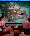 Filename=November_212C_2012_-__The_Ellen_DeGeneres_Show_2873629.jpg
Filesize=104KiB
Dimensions=1280x720
Date added=Apr 03, 2014 November_212C_2012_-__The_Ellen_DeGeneres_Show_2873629.jpg
