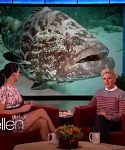 Filename=November_212C_2012_-__The_Ellen_DeGeneres_Show_2873729.jpg
Filesize=104KiB
Dimensions=1280x720
Date added=Apr 03, 2014 November_212C_2012_-__The_Ellen_DeGeneres_Show_2873729.jpg