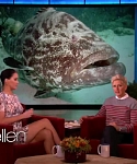 Filename=November_212C_2012_-__The_Ellen_DeGeneres_Show_2873829.jpg
Filesize=104KiB
Dimensions=1280x720
Date added=Apr 03, 2014 November_212C_2012_-__The_Ellen_DeGeneres_Show_2873829.jpg