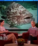 Filename=November_212C_2012_-__The_Ellen_DeGeneres_Show_2873929.jpg
Filesize=104KiB
Dimensions=1280x720
Date added=Apr 03, 2014 November_212C_2012_-__The_Ellen_DeGeneres_Show_2873929.jpg