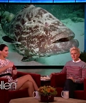 Filename=November_212C_2012_-__The_Ellen_DeGeneres_Show_2874029.jpg
Filesize=105KiB
Dimensions=1280x720
Date added=Apr 03, 2014 November_212C_2012_-__The_Ellen_DeGeneres_Show_2874029.jpg