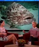 Filename=November_212C_2012_-__The_Ellen_DeGeneres_Show_2874129.jpg
Filesize=105KiB
Dimensions=1280x720
Date added=Apr 03, 2014 November_212C_2012_-__The_Ellen_DeGeneres_Show_2874129.jpg