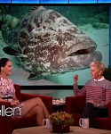 Filename=November_212C_2012_-__The_Ellen_DeGeneres_Show_2874929.jpg
Filesize=101KiB
Dimensions=1280x720
Date added=Apr 03, 2014 November_212C_2012_-__The_Ellen_DeGeneres_Show_2874929.jpg