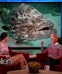 Filename=November_212C_2012_-__The_Ellen_DeGeneres_Show_2875129.jpg
Filesize=103KiB
Dimensions=1280x720
Date added=Apr 03, 2014 November_212C_2012_-__The_Ellen_DeGeneres_Show_2875129.jpg