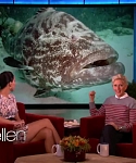 Filename=November_212C_2012_-__The_Ellen_DeGeneres_Show_2875329.jpg
Filesize=104KiB
Dimensions=1280x720
Date added=Apr 03, 2014 November_212C_2012_-__The_Ellen_DeGeneres_Show_2875329.jpg