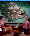 Filename=November_212C_2012_-__The_Ellen_DeGeneres_Show_2876329.jpg
Filesize=106KiB
Dimensions=1280x720
Date added=Apr 03, 2014 November_212C_2012_-__The_Ellen_DeGeneres_Show_2876329.jpg