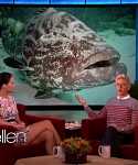Filename=November_212C_2012_-__The_Ellen_DeGeneres_Show_2876529.jpg
Filesize=107KiB
Dimensions=1280x720
Date added=Apr 03, 2014 November_212C_2012_-__The_Ellen_DeGeneres_Show_2876529.jpg