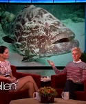 Filename=November_212C_2012_-__The_Ellen_DeGeneres_Show_2877029.jpg
Filesize=103KiB
Dimensions=1280x720
Date added=Apr 03, 2014 November_212C_2012_-__The_Ellen_DeGeneres_Show_2877029.jpg