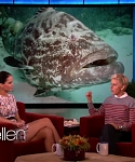 Filename=November_212C_2012_-__The_Ellen_DeGeneres_Show_2877629.jpg
Filesize=105KiB
Dimensions=1280x720
Date added=Apr 03, 2014 November_212C_2012_-__The_Ellen_DeGeneres_Show_2877629.jpg