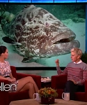 Filename=November_212C_2012_-__The_Ellen_DeGeneres_Show_2877929.jpg
Filesize=107KiB
Dimensions=1280x720
Date added=Apr 03, 2014 November_212C_2012_-__The_Ellen_DeGeneres_Show_2877929.jpg