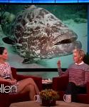 Filename=November_212C_2012_-__The_Ellen_DeGeneres_Show_2878829.jpg
Filesize=103KiB
Dimensions=1280x720
Date added=Apr 03, 2014 November_212C_2012_-__The_Ellen_DeGeneres_Show_2878829.jpg