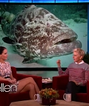 Filename=November_212C_2012_-__The_Ellen_DeGeneres_Show_2879129.jpg
Filesize=104KiB
Dimensions=1280x720
Date added=Apr 03, 2014 November_212C_2012_-__The_Ellen_DeGeneres_Show_2879129.jpg