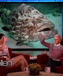 Filename=November_212C_2012_-__The_Ellen_DeGeneres_Show_2880029.jpg
Filesize=97KiB
Dimensions=1280x720
Date added=Apr 03, 2014 November_212C_2012_-__The_Ellen_DeGeneres_Show_2880029.jpg