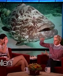 Filename=November_212C_2012_-__The_Ellen_DeGeneres_Show_2880229.jpg
Filesize=102KiB
Dimensions=1280x720
Date added=Apr 03, 2014 November_212C_2012_-__The_Ellen_DeGeneres_Show_2880229.jpg