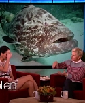 Filename=November_212C_2012_-__The_Ellen_DeGeneres_Show_2880329.jpg
Filesize=102KiB
Dimensions=1280x720
Date added=Apr 03, 2014 November_212C_2012_-__The_Ellen_DeGeneres_Show_2880329.jpg