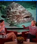 Filename=November_212C_2012_-__The_Ellen_DeGeneres_Show_2880429.jpg
Filesize=103KiB
Dimensions=1280x720
Date added=Apr 03, 2014 November_212C_2012_-__The_Ellen_DeGeneres_Show_2880429.jpg