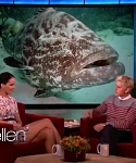 Filename=November_212C_2012_-__The_Ellen_DeGeneres_Show_2880529.jpg
Filesize=103KiB
Dimensions=1280x720
Date added=Apr 03, 2014 November_212C_2012_-__The_Ellen_DeGeneres_Show_2880529.jpg