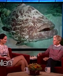 Filename=November_212C_2012_-__The_Ellen_DeGeneres_Show_2880629.jpg
Filesize=105KiB
Dimensions=1280x720
Date added=Apr 03, 2014 November_212C_2012_-__The_Ellen_DeGeneres_Show_2880629.jpg