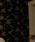 Filename=The_Silver_Linings_Playbook_CAPTURES_2813429.jpg
Filesize=100KiB
Dimensions=1920x800
Date added=Feb 06, 2014 The_Silver_Linings_Playbook_CAPTURES_2813429.jpg