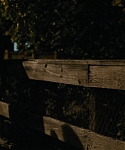 Filename=The_Silver_Linings_Playbook_CAPTURES_2814829.jpg
Filesize=98KiB
Dimensions=1920x800
Date added=Feb 06, 2014 The_Silver_Linings_Playbook_CAPTURES_2814829.jpg