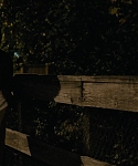 Filename=The_Silver_Linings_Playbook_CAPTURES_2814929.jpg
Filesize=99KiB
Dimensions=1920x800
Date added=Feb 06, 2014 The_Silver_Linings_Playbook_CAPTURES_2814929.jpg