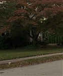 Filename=The_Silver_Linings_Playbook_CAPTURES_2821529.jpg
Filesize=181KiB
Dimensions=1920x800
Date added=Feb 06, 2014 The_Silver_Linings_Playbook_CAPTURES_2821529.jpg