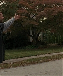 Filename=The_Silver_Linings_Playbook_CAPTURES_2821629.jpg
Filesize=195KiB
Dimensions=1920x800
Date added=Feb 06, 2014 The_Silver_Linings_Playbook_CAPTURES_2821629.jpg