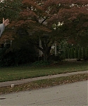 Filename=The_Silver_Linings_Playbook_CAPTURES_2821729.jpg
Filesize=191KiB
Dimensions=1920x800
Date added=Feb 06, 2014 The_Silver_Linings_Playbook_CAPTURES_2821729.jpg