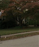 The_Silver_Linings_Playbook_CAPTURES_2821829.jpg
